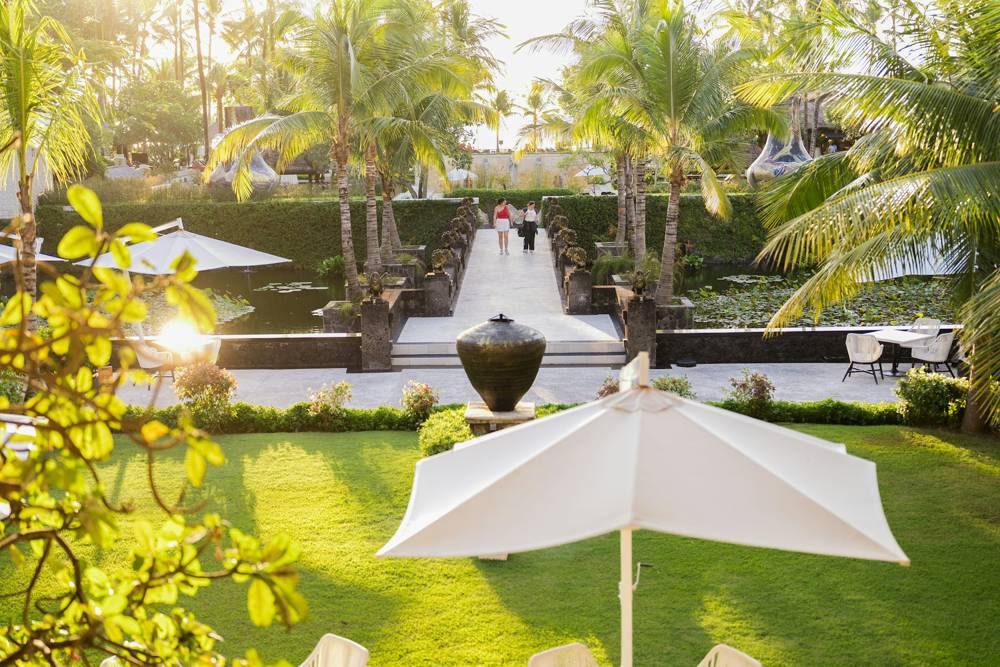 Tropical garden at golden hour