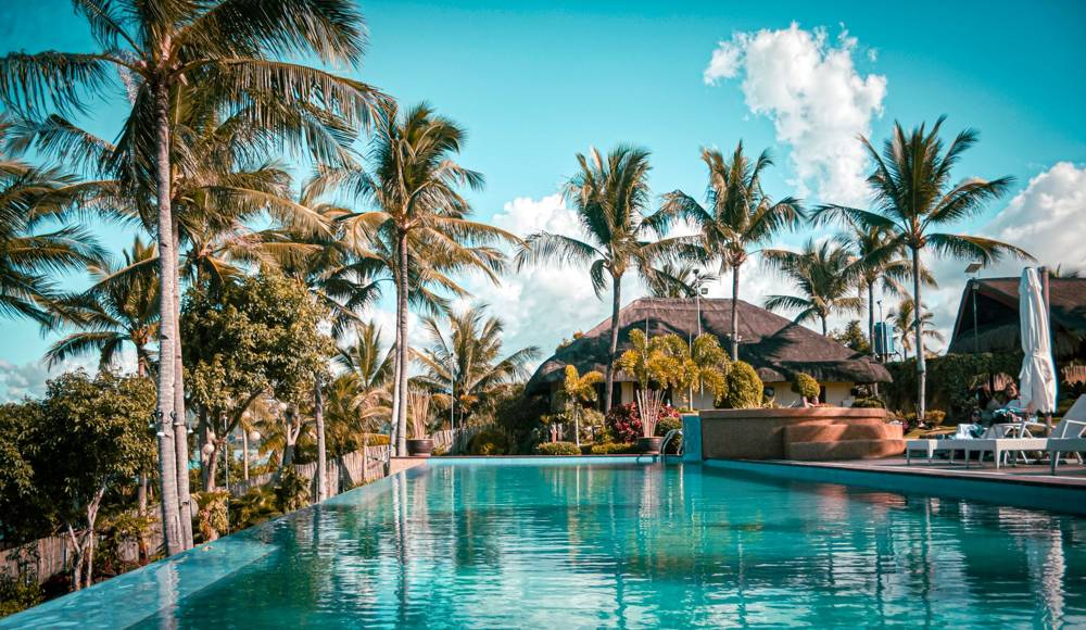 Private pool surrounded by palms at the Zen Villa